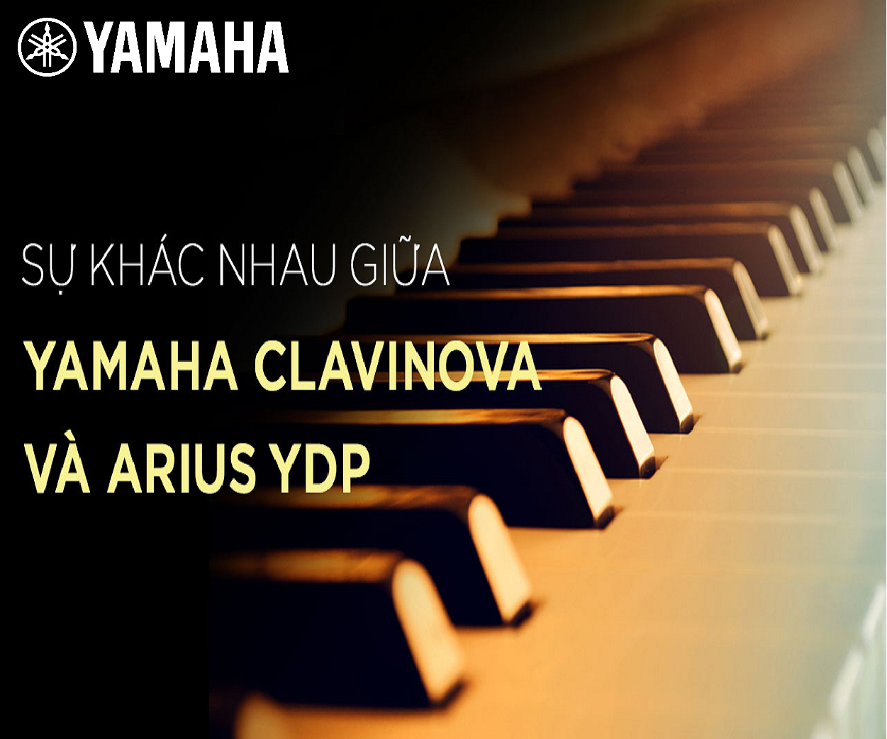 3 Điểm khác biệt ở Yamaha Clavinova CLP và Arius YDP | Yamaha