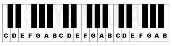 Các phím đàn đen, trắng trên bàn phím Piano sẽ đảm nhiệm các nốt nhạc khác nhau