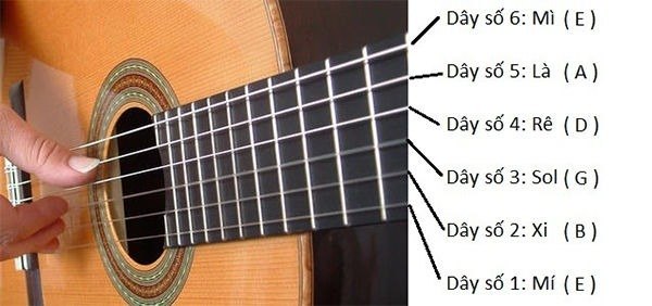 6 Cách Đơn Giản Ghi Nhớ Vị Trí Nốt Nhạc Trên Cần Đàn Guitar