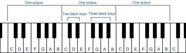 Vị trí phím trắng trên đàn piano điện
