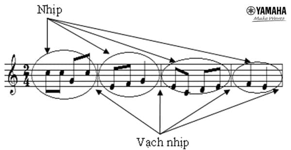 Vạch nhịp là các đường thẳng chia khuông nhạc thành các ô nhịp đều nhau