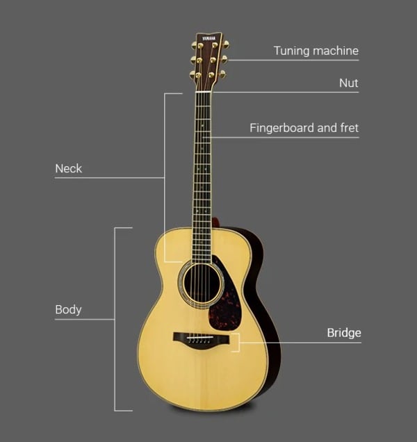 Hình ảnh các bộ phận chính của cây đàn guitar. (Nguồn: Yamaha)