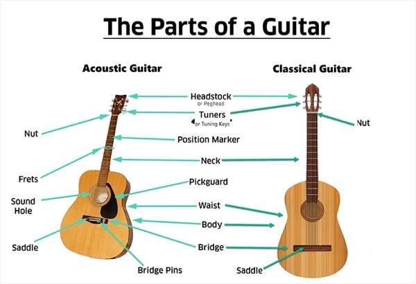 Các bộ phận chính của cây đàn guitar