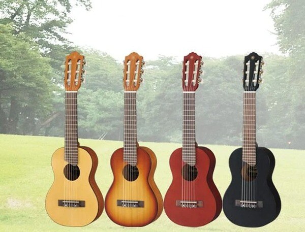 Đàn guitar 1/2 phù hợp cho trẻ nhỏ hoặc người mới tập chơi guitar 