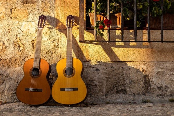 Guitar Classic được nhận biết với phần dây đàn làm bằng nilon và thùng đàn nhỏ, thiết kế truyền thống   (Nguồn Yamaha)