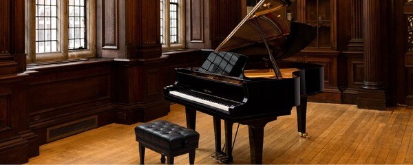 SX series & CF series là mảnh ghép hoàn hảo với không gian biểu diễn cỡ vừa như hội trường, phòng hát độc tấu