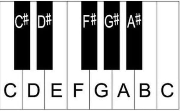 Giải pháp nhớ 1 nốt trên phím đàn Piano và dựa vào quy luật để suy ra những nốt khác khá thú vị (Nguồn internet)