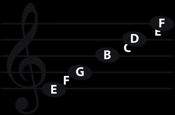 Khuông nhạc bao gồm 5 dòng và 4 khe
