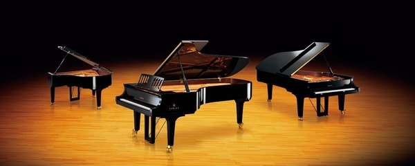 Chiếc đàn cơ nặng nhất thuộc về đàn CFX Piano khi có trọng lượng gần 500kg