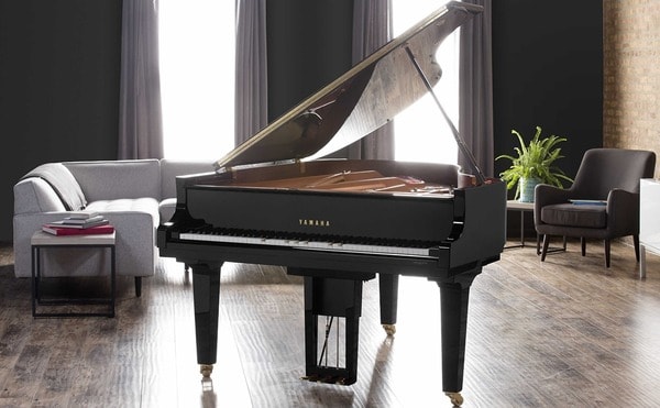 Cần tránh ánh sáng trực tiếp chiếu vào đàn Piano để đàn không bị nóng, gây hỏng một số bộ phận làm từ gỗ của đàn Piano  (Nguồn: Internet)