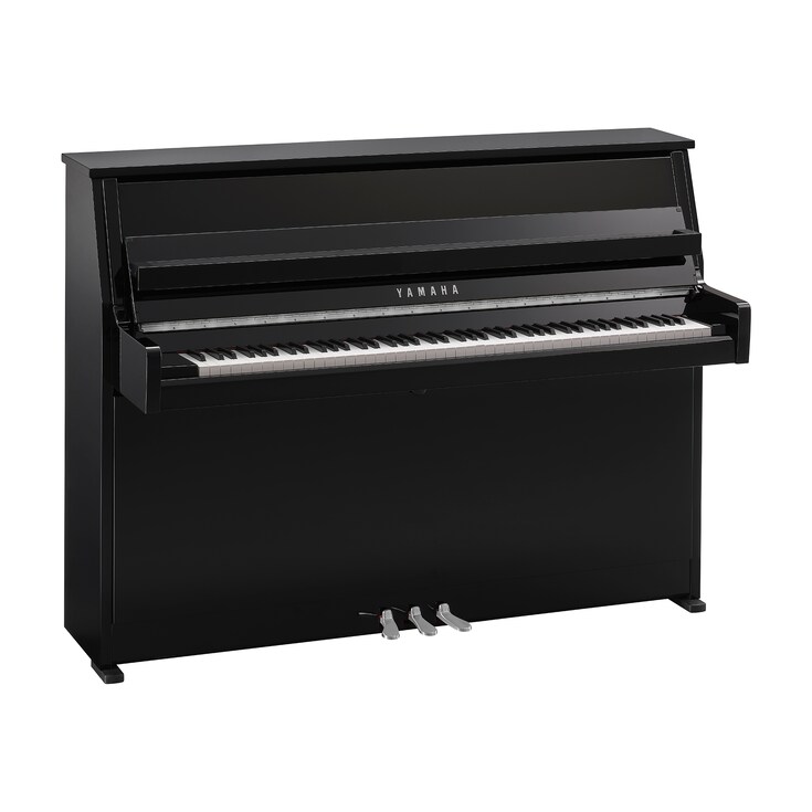 Hình ảnh sản phẩm B10 (Polished Ebony Chrome)