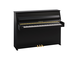 Hình ảnh sản phẩm B10 (Polished Ebony)