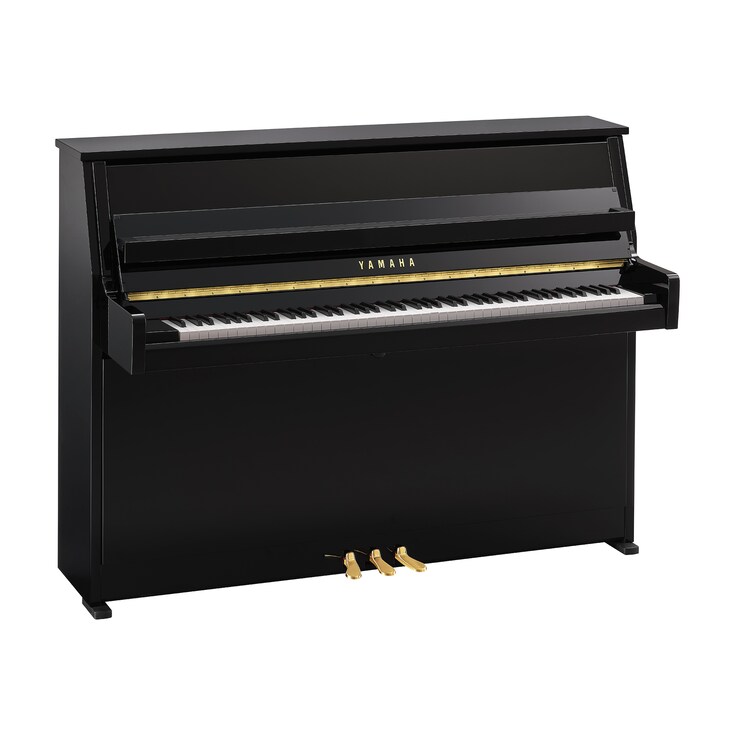 Hình ảnh sản phẩm B10 (Polished Ebony)