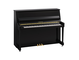Hình ảnh sản phẩm B20 (Polished Ebony)