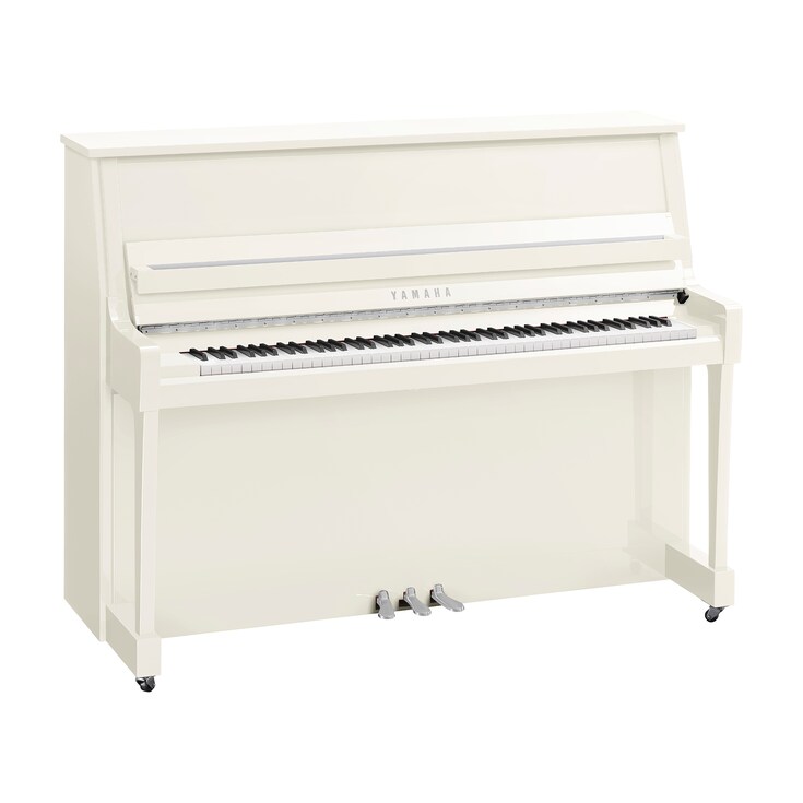 Hình ảnh sản phẩm B20 (Polished White Chrome)