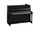 Hình ảnh sản phẩm B20SC3 (Polished Ebony Chrome)