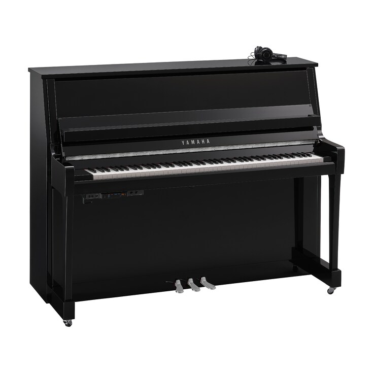 Hình ảnh sản phẩm B20SC3 (Polished Ebony Chrome)
