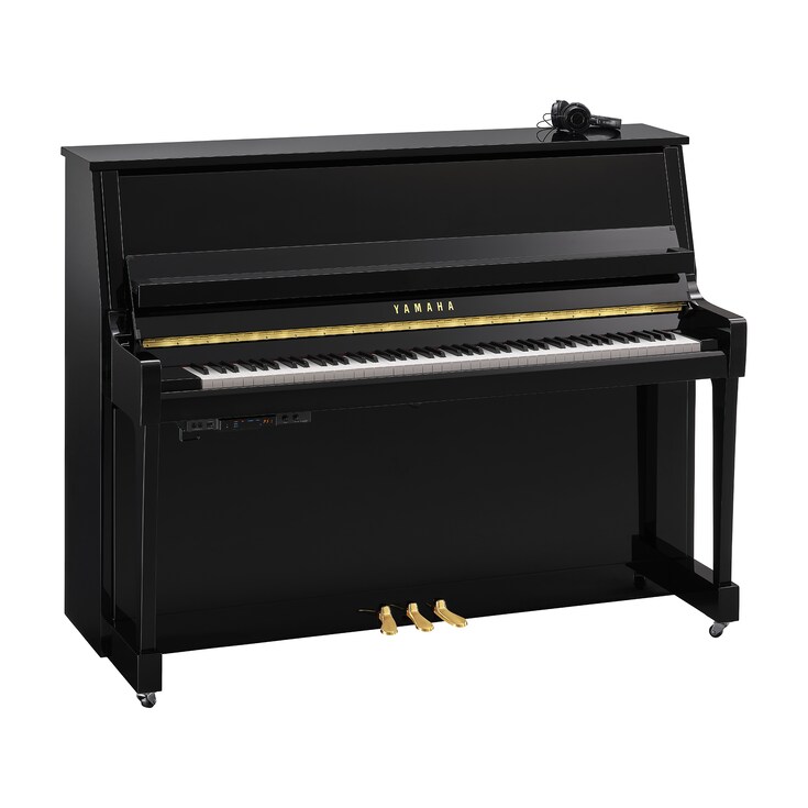 Hình ảnh sản phẩm B20SC3 (Polished Ebony)