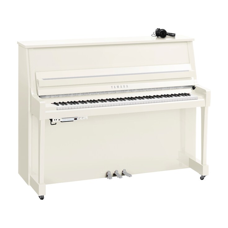Hình ảnh sản phẩm B20SC3 (Polished White Chrome)