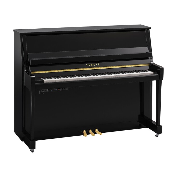 Hình ảnh sản phẩm B20TC3 (Polished Ebony)