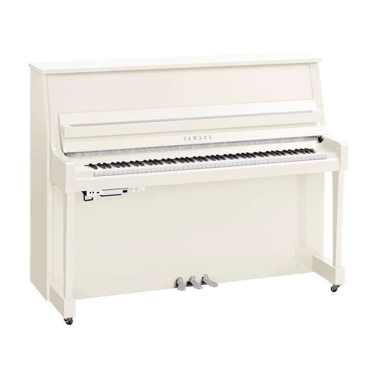 Hình ảnh sản phẩm B20TC3 (Polished White Chrome)