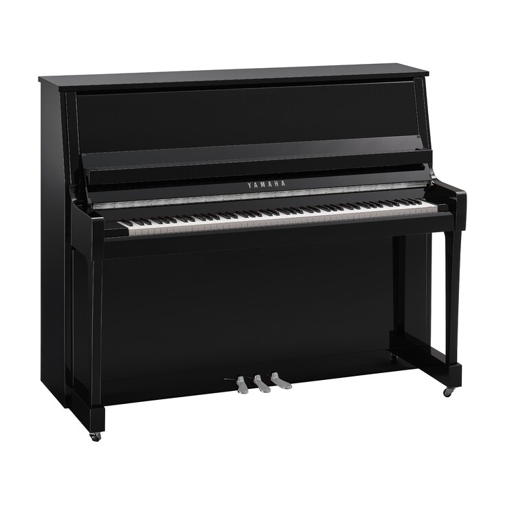 Hình ảnh sản phẩm B30 (Polished Ebony Chrome)
