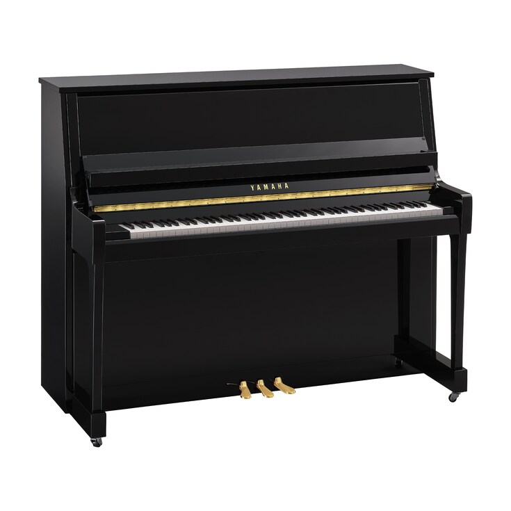 Hình ảnh sản phẩm B30 (Polished Ebony)
