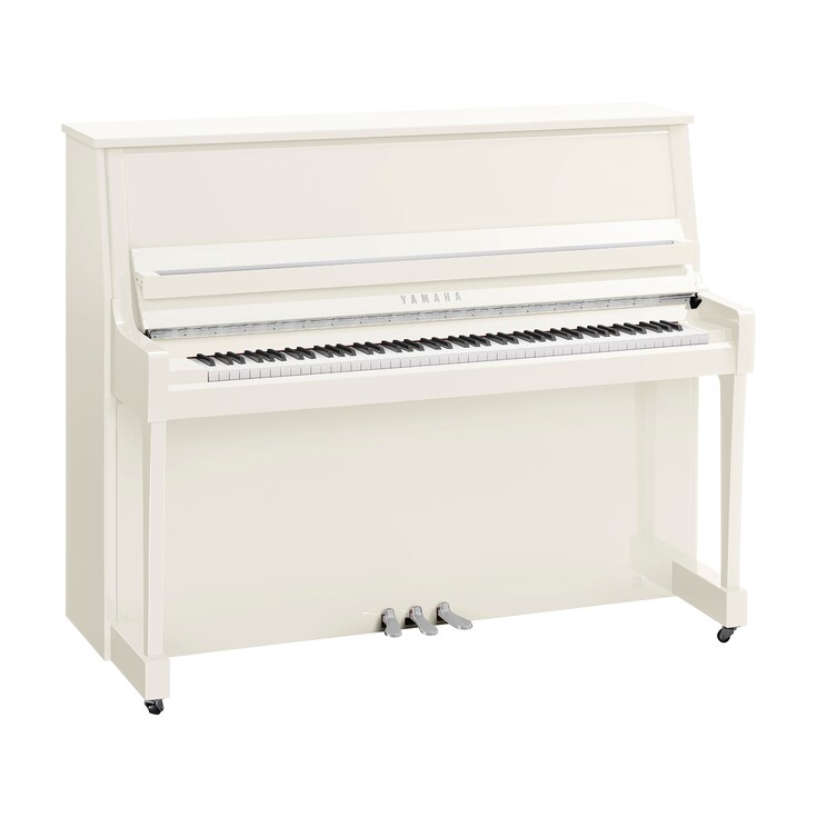 Hình ảnh sản phẩm B30 (Polished White Chrome)