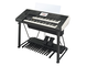 Góc nhìn chéo của Yamaha Electone ELS-03G