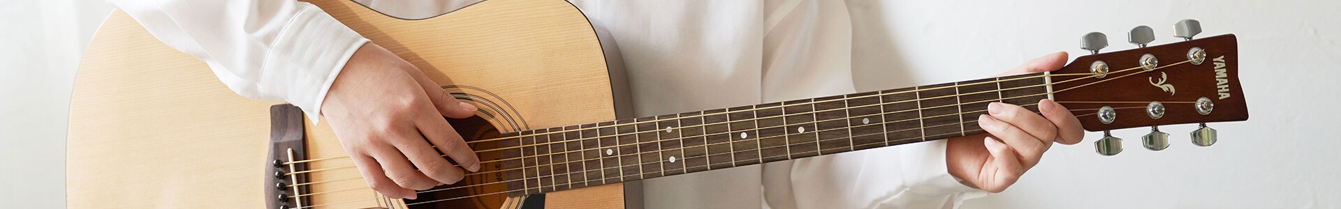 F310P_background_height_300