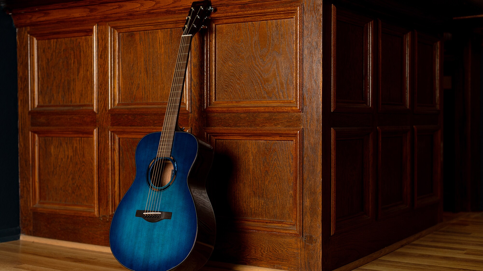 Một cây guitar acoustic TAS1 E dựng đứng dựa vào bức tường màu nâu trong nhà