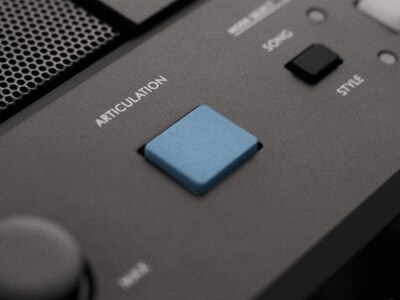 Hình ảnh nút ARTICULATION trên PSR-E483