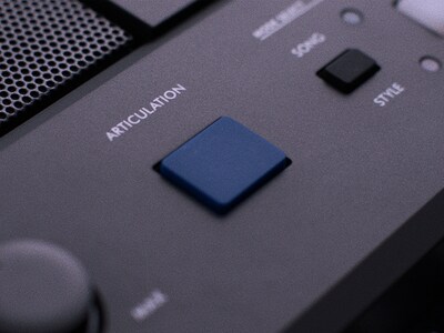 Hình ảnh nút ARTICULATION PSR-E583