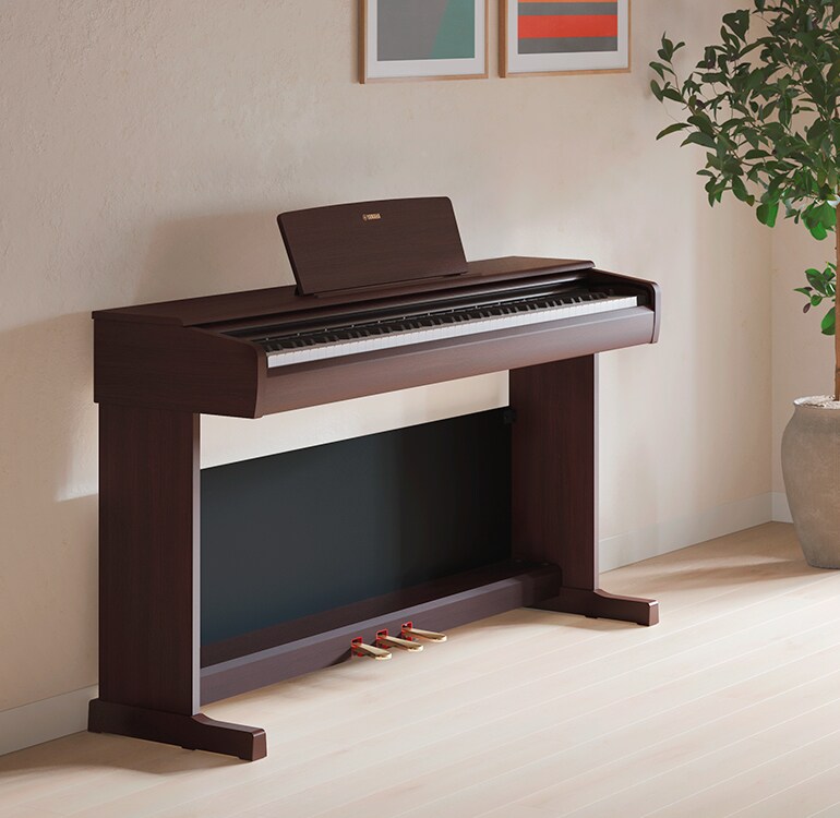 Phòng khách với cây đàn piano ARIUS, cây cảnh và ghế sofa được bố trí hài hòa với nội thất.