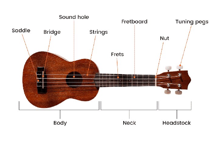 Cấu tạo của đàn Ukulele 