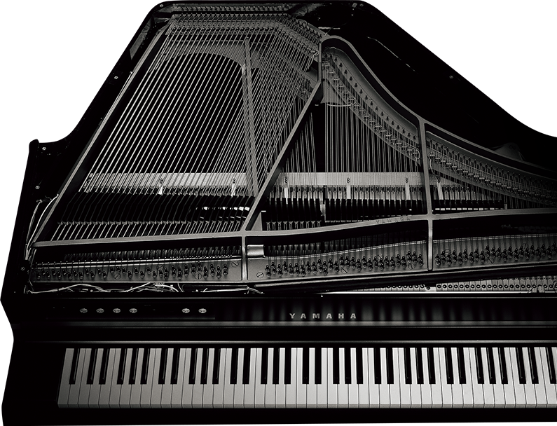 Cuộc tìm kiếm âm thanh thật xứng đáng với cái tên piano