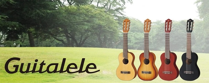 Guitar 4 dây Ukulele sẽ có giá từ vài trăm cho đến vài triệu đồng  