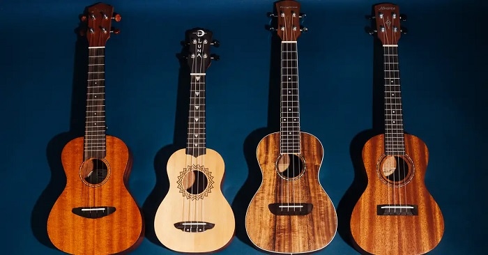 Guitar 4 dây Ukulele sẽ có giá từ vài trăm cho đến vài triệu đồng  