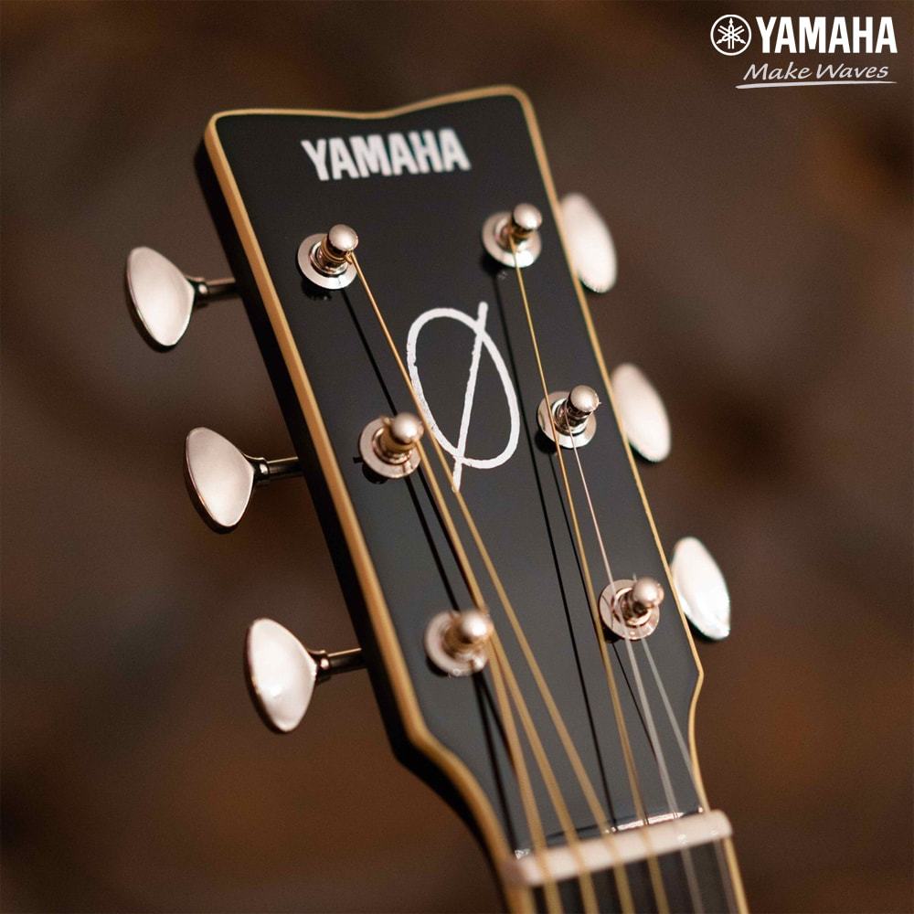 Chọn đàn guitar Yamaha giá bao nhiêu khi mới học? | Yamaha