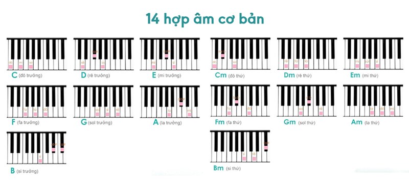 14 hợp âm cơ bản bao gồm: 7 hợp âm trưởng và 7 hợp âm thứ 