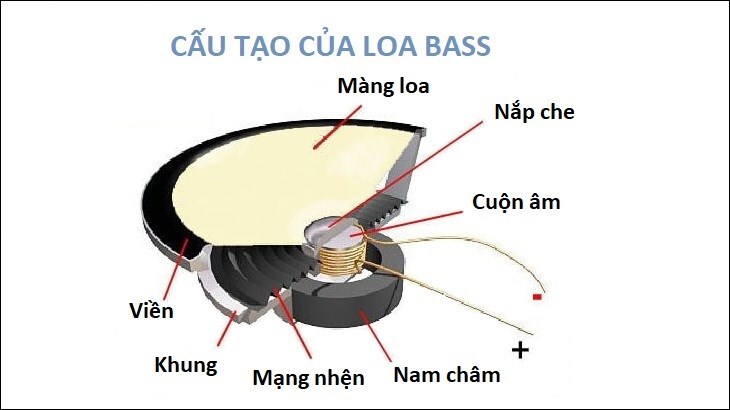 Cấu tạo thường thấy của loa bass