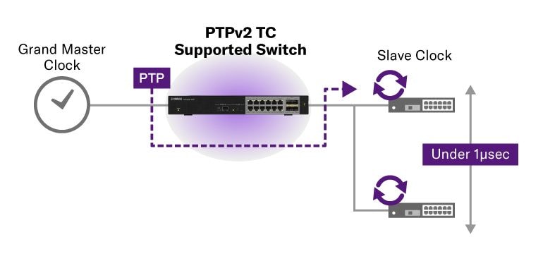 Hỗ trợ đồng bộ hóa thời gian PTPv2 TC với độ chính xác 1 μsec hoặc ít hơn
