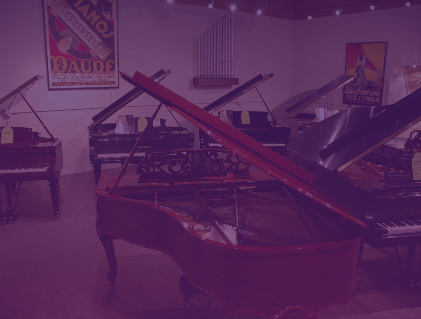 product-section-background