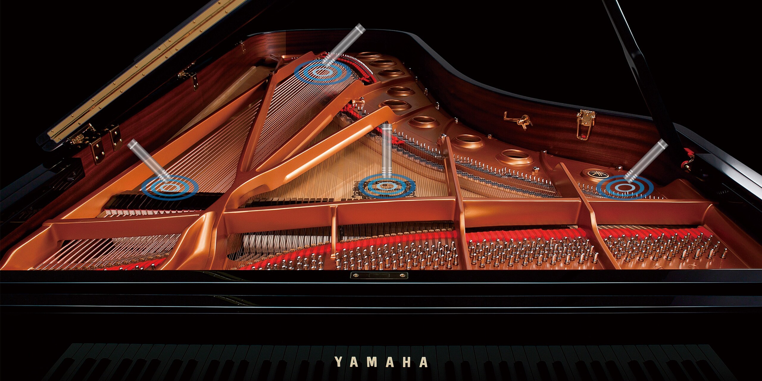 Photo Each piano was meticulously sampled using our proprietary Spatial Acoustic Sampling process