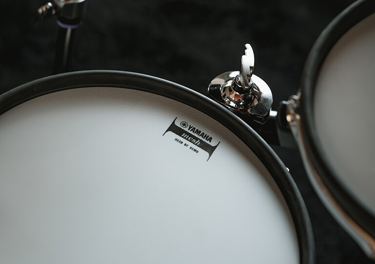 Hình ảnh các mesh pad của DTX6K5-M