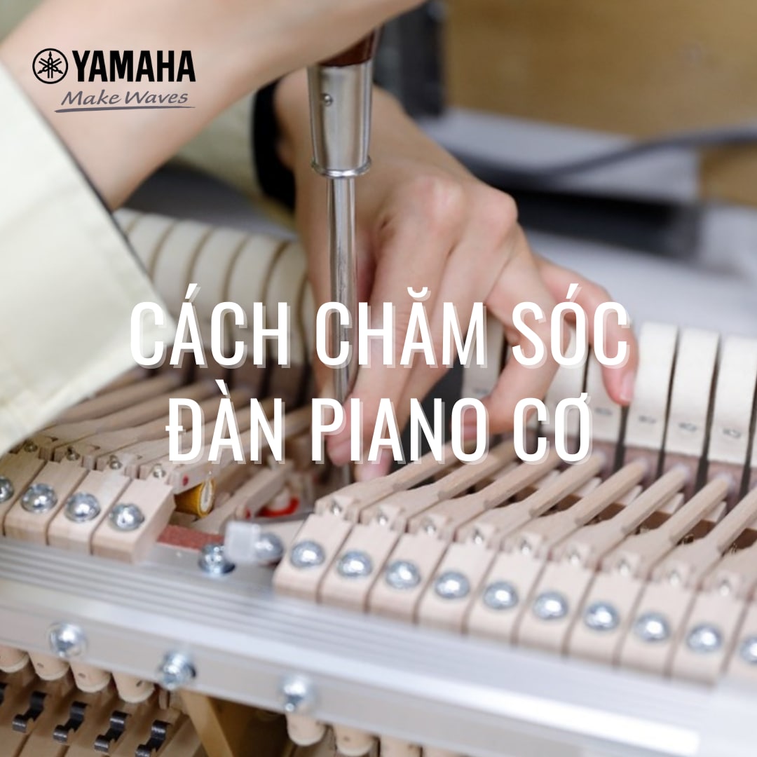 Gợi ý 11 bản nhạc piano cho người mới học đơn giản, dễ chơi