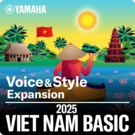 Biểu tượng Vietnam Pack